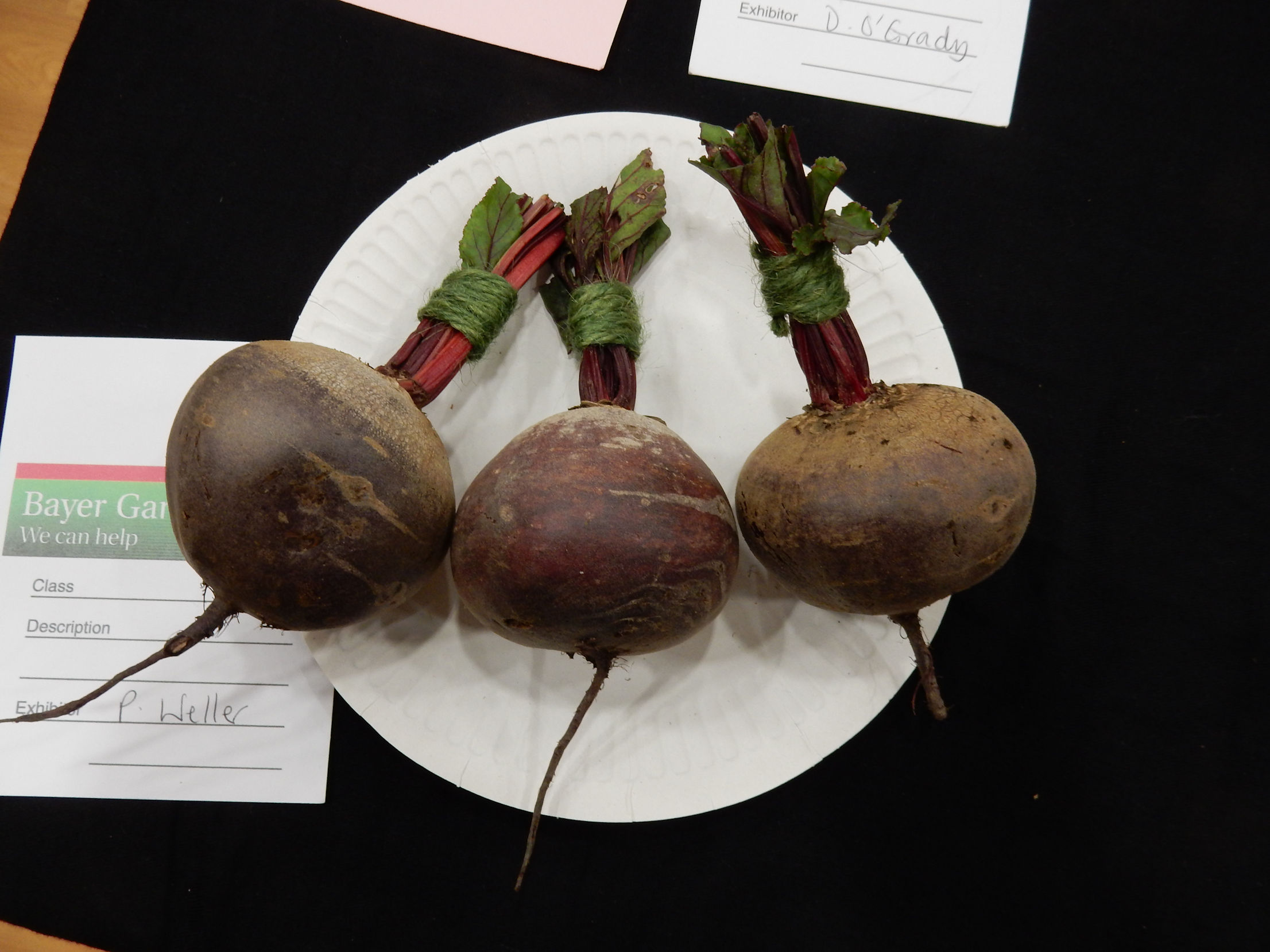 Beetroot